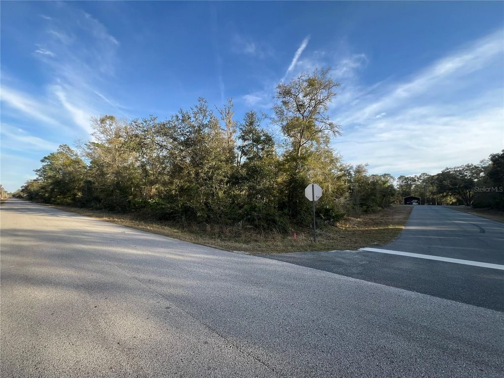 Photo of 9919 N Pink Moss Point, Crystal River, FL 34428 (MLS # TB8353442)