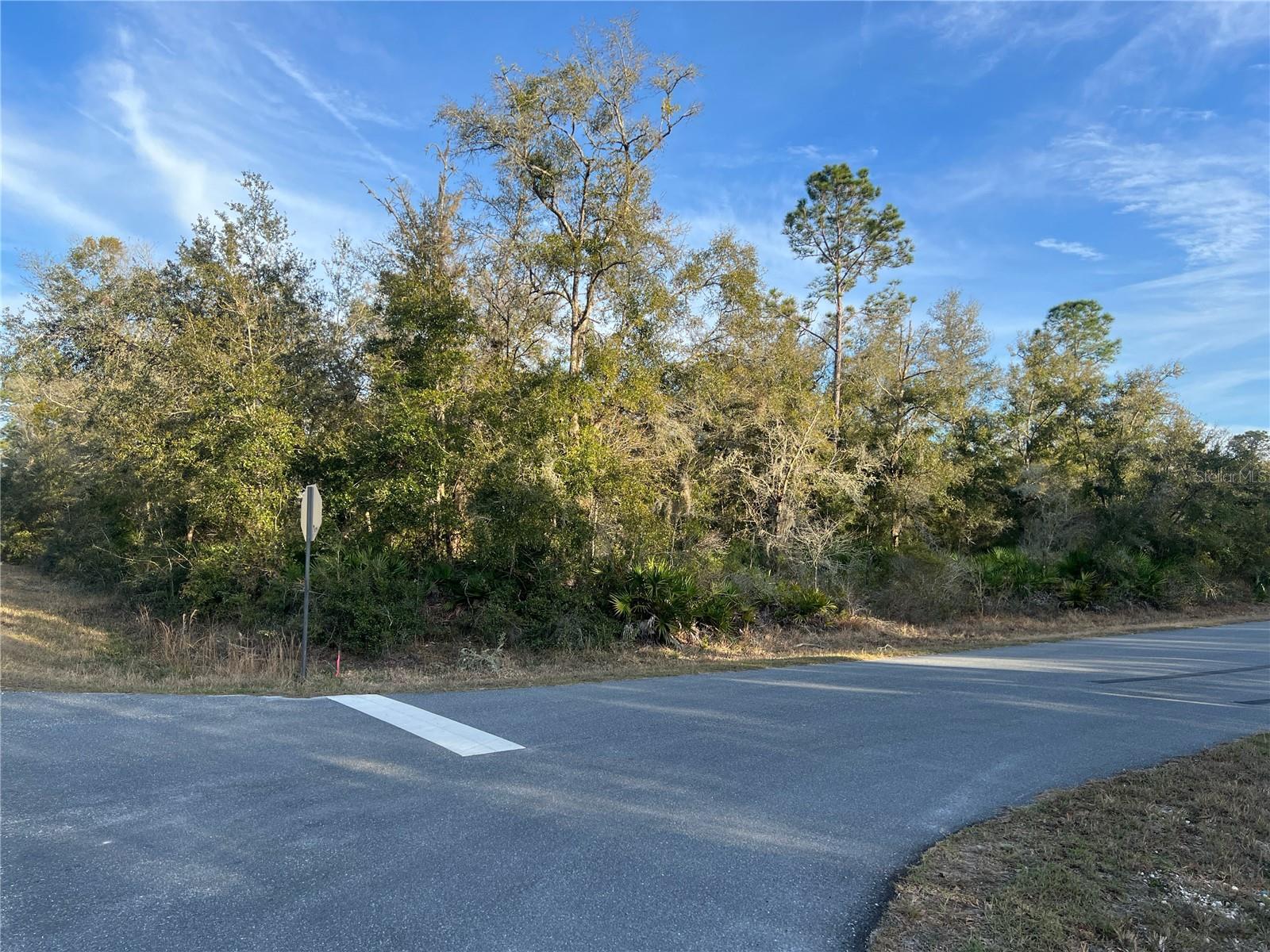 Prime corner lot in Crystal River, FL, great for building your dream home or investment property. This spacious 1.25-acre lot offers privacy while being conveniently located near shopping, dining, and outdoor activities like Yankeetown, Hunter Springs, boating, and fishing. No HOA restrictions, giving you the flexibility to create your ideal space. Don’t miss this opportunity to own land in a growing area!