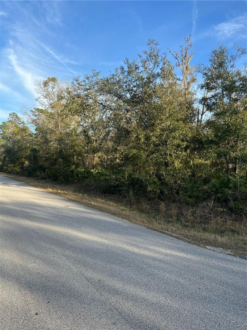 Photo of 9919 N Pink Moss Point, Crystal River, FL 34428 (MLS # TB8353442)