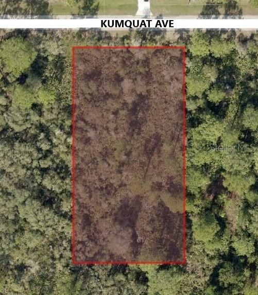 1 acre lot. Cleared and ready. Come live in the country with the deer and turkey. Great community surrounded by Seminole State Forest. Use any builder and build anytime. No manufactured homes. HOA fee only $80/year. Short drive to SR429/Wekiva Parkway, Publix and Mount Dora. For building or investment. No wetlands and No flood insurance required.