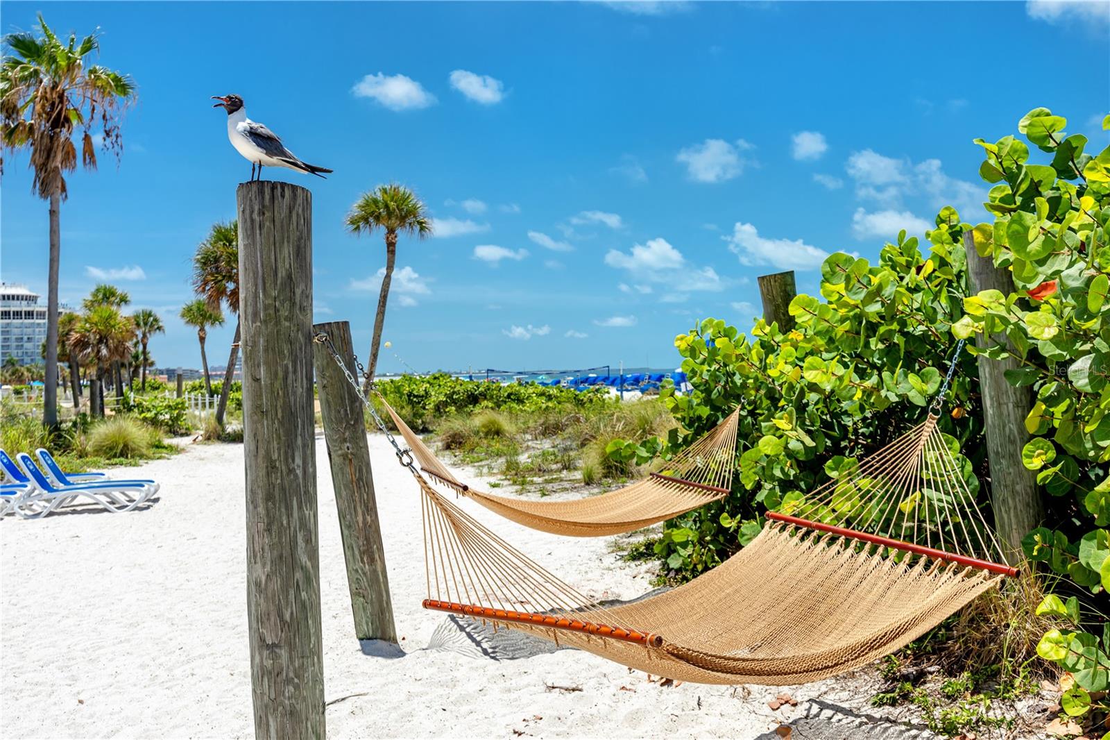 JACARANDA BEACH VILLAS CONDO - Residential