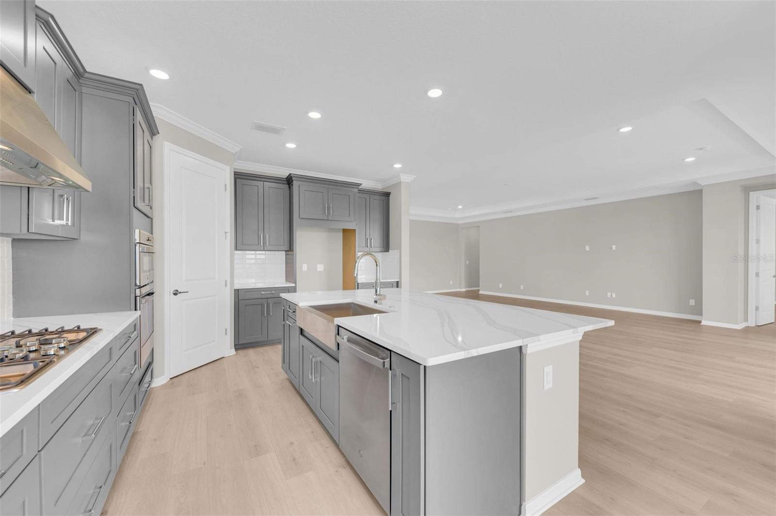 PARK EAST AT AZARIO PH II - Residential