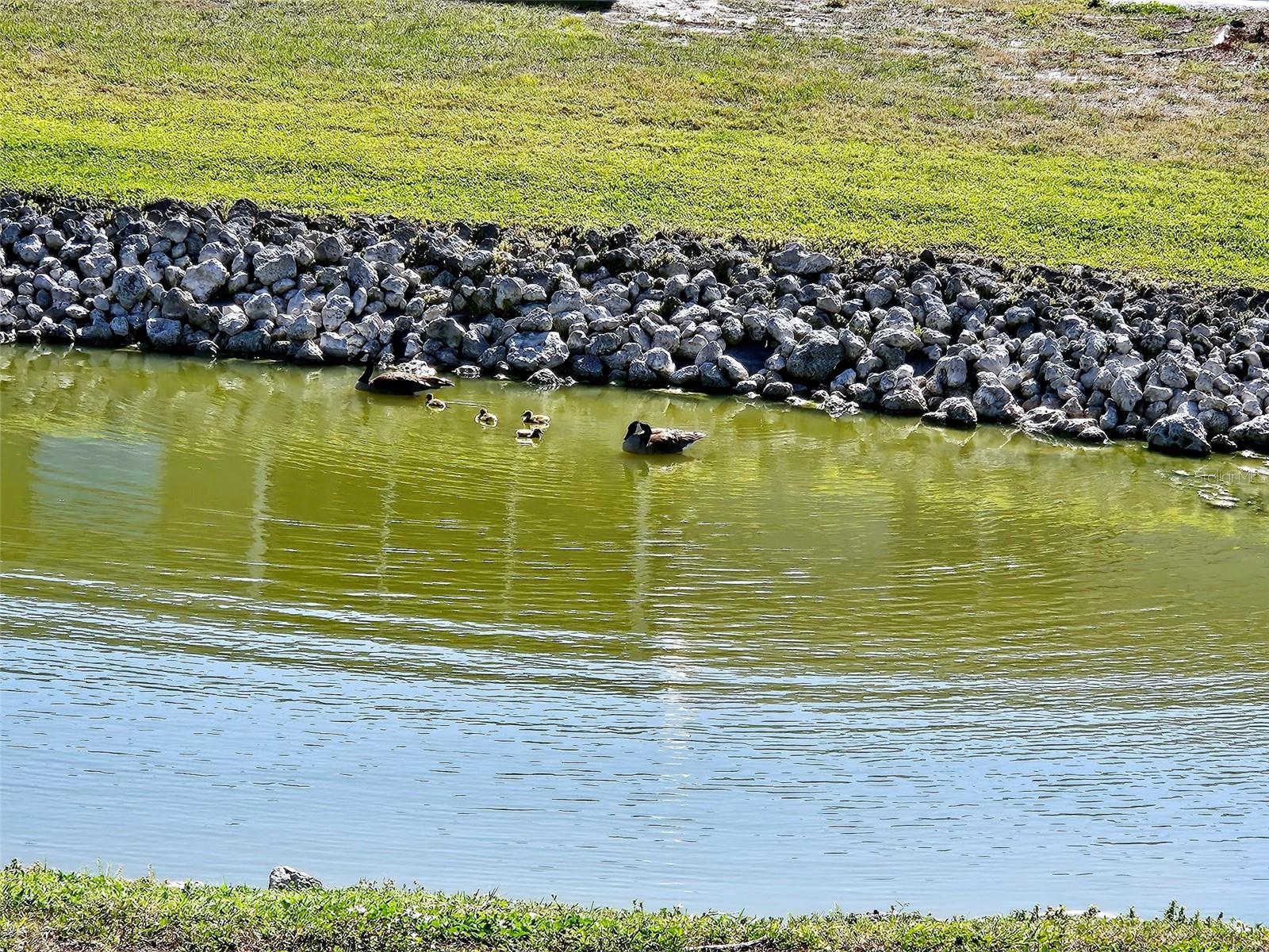 TOWNHOUSES OF LAKESIDE SOUTH - Residential Lease