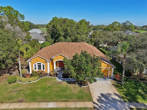 A home in ORLANDO