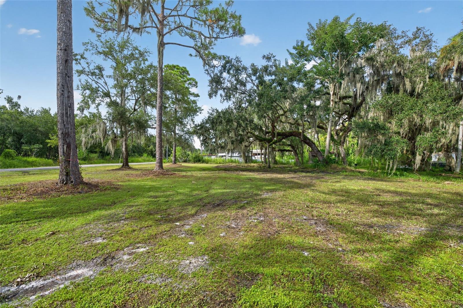 SWAMP LANE