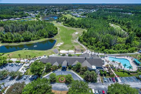 A home in LAND O LAKES