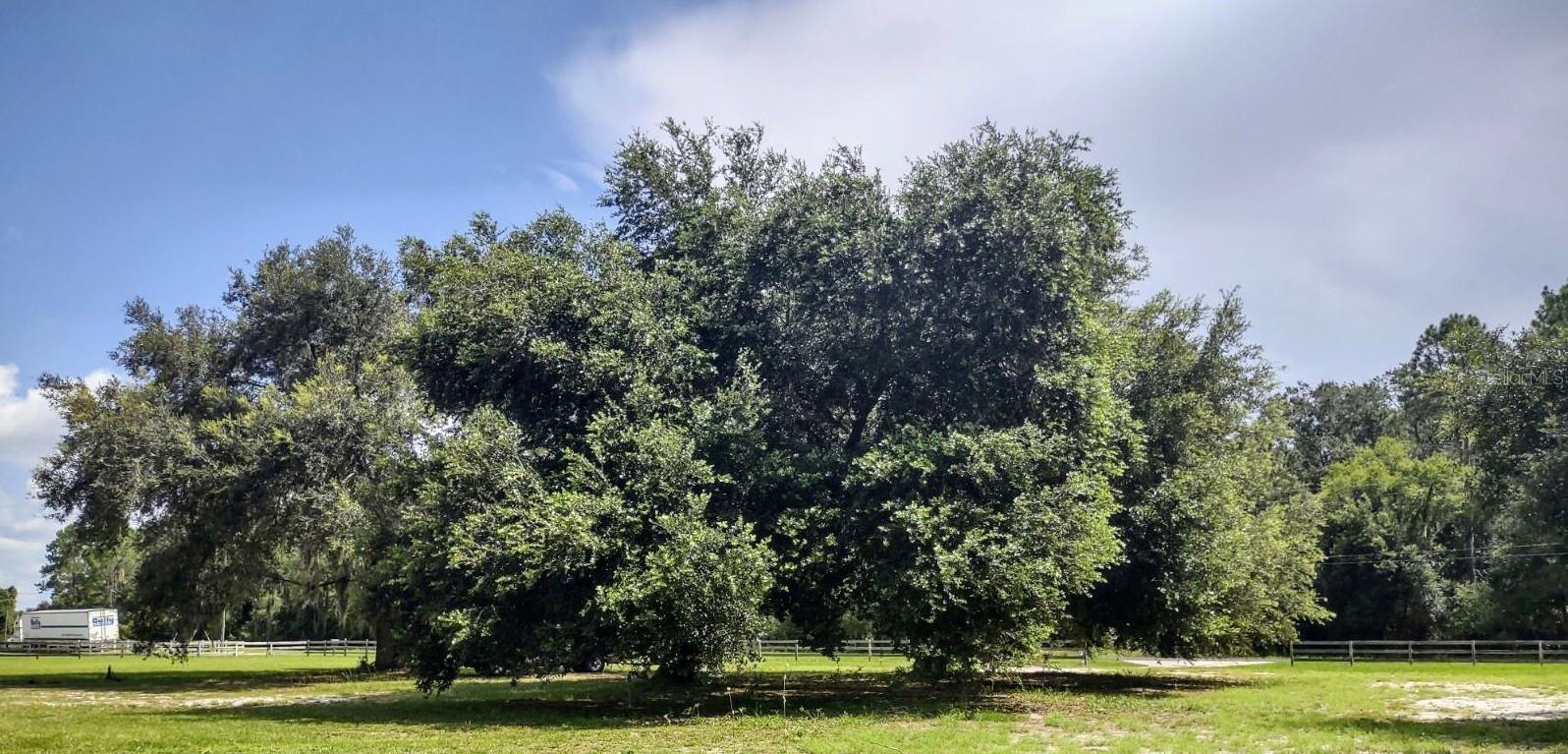 3980 SE 183RD AVENUE ROAD
