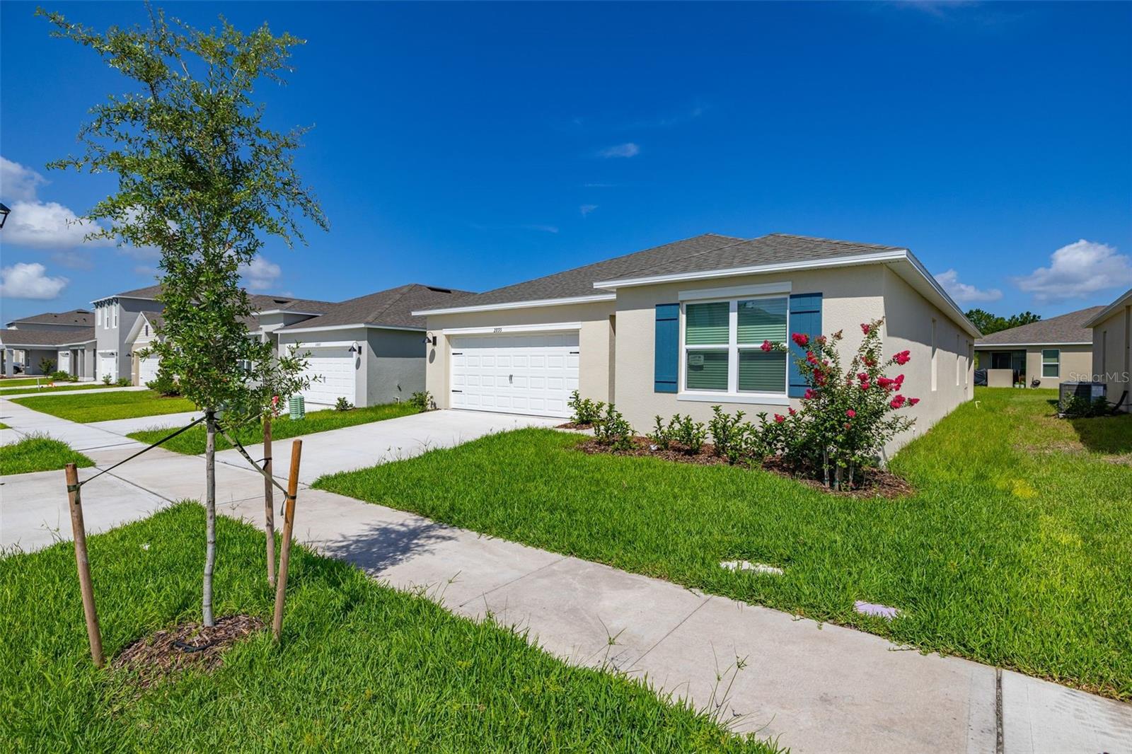 2893 HOUSE FINCH ROAD