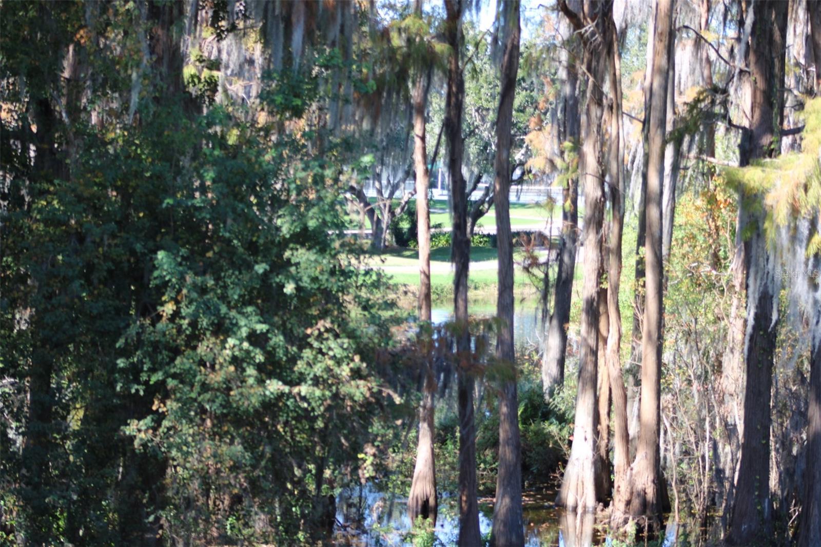 INNISBROOK - Residential