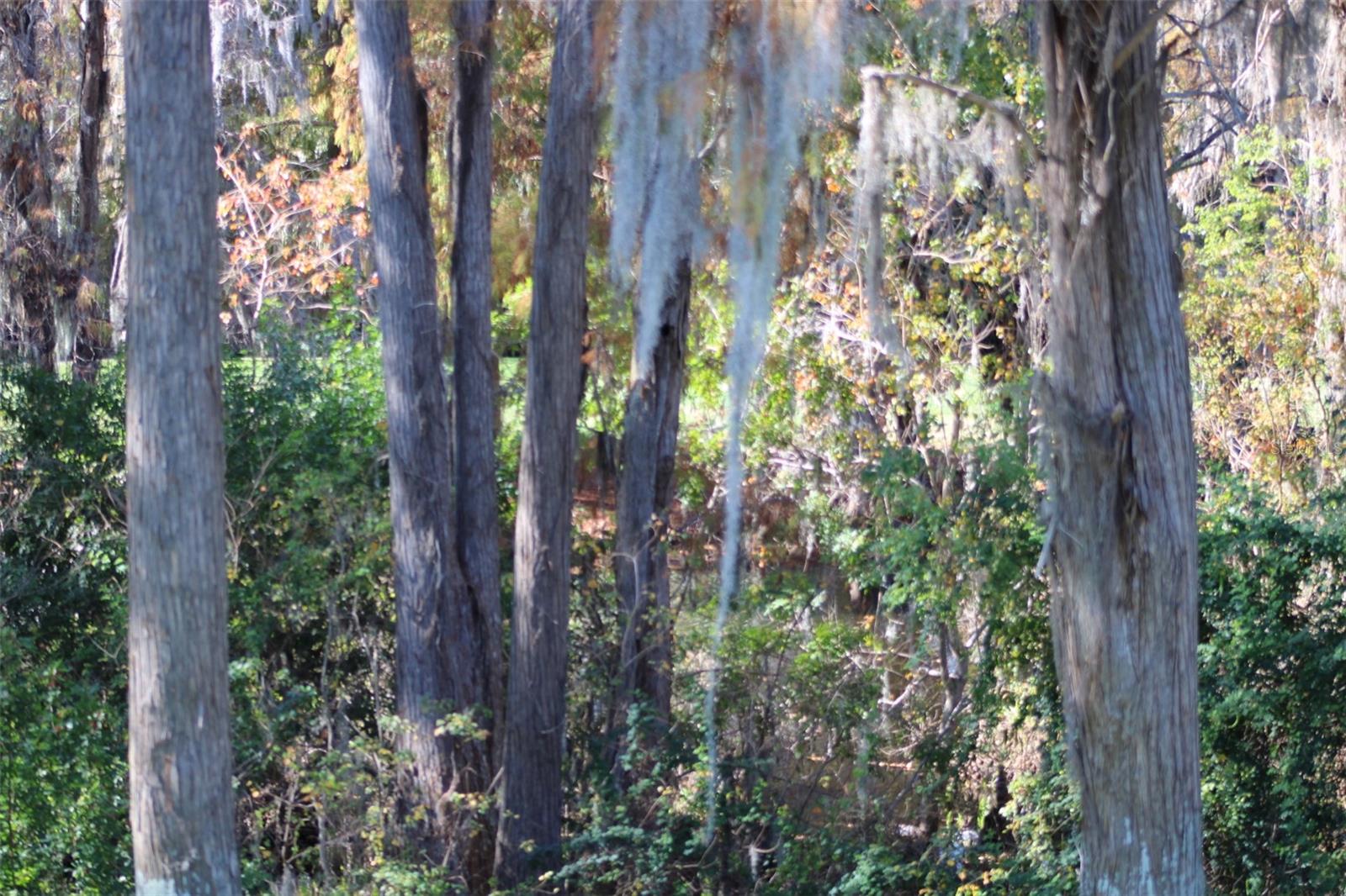 INNISBROOK - Residential