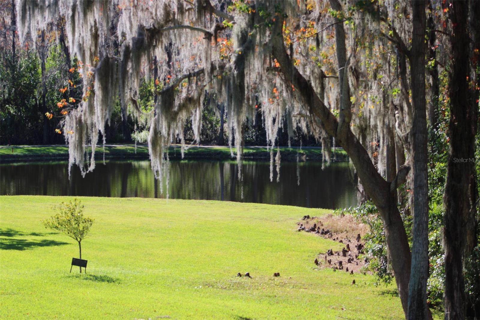INNISBROOK - Residential