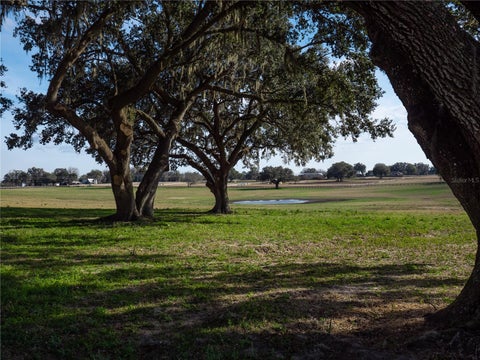 Tiny photo for Tbd NW Gainesville Road, Reddick, FL 32686 (MLS # OM723151)