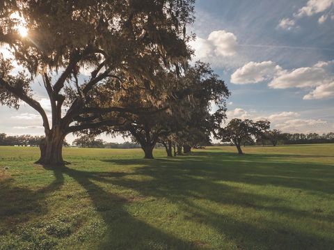 Photo of Tbd NW Gainesville Road, Reddick, FL 32686 (MLS # OM723151)