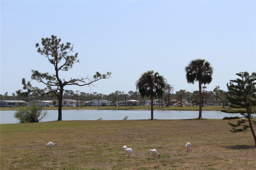 Nothing screams LOCATION, LOCATION, LOCATION more than this lot with magnificent WATERVIEWS in the sought-after Village of Holiday Lake. The Village is a WATERFRONT COMMUNITY, with docks and its own boat ramp just minutes to open water, Charlotte Harbor and the Gulf of Mexico. You'll also enjoy 5 of the area's finest GOLF COURSES all within a few Miles. The Village of Holiday Lake boasts 25+ boat slips, beautiful pool area with 2 POOLS and BBQ area. There is always something going on for everyone at the large recreation hall with full kitchen, craft room, laundry facility, fitness center along with areas for woodworking, tennis, pickleball, shuffleboard and more. GOLF CARTS WELCOME. The outdoor enthusiast in you will love the closeness of boating and fishing from the community docks and boat ramp. You will also find several Gulf Shore Beaches close by. The foodie in you will love the local delights like Gerry’s Tiki Hut, Farlow’s on the Water and the Sandbar Tiki & Grill to name a few. Perfect for year round living or a winter get away spot. Your chance to OWN A PIECE OF PARADISE!