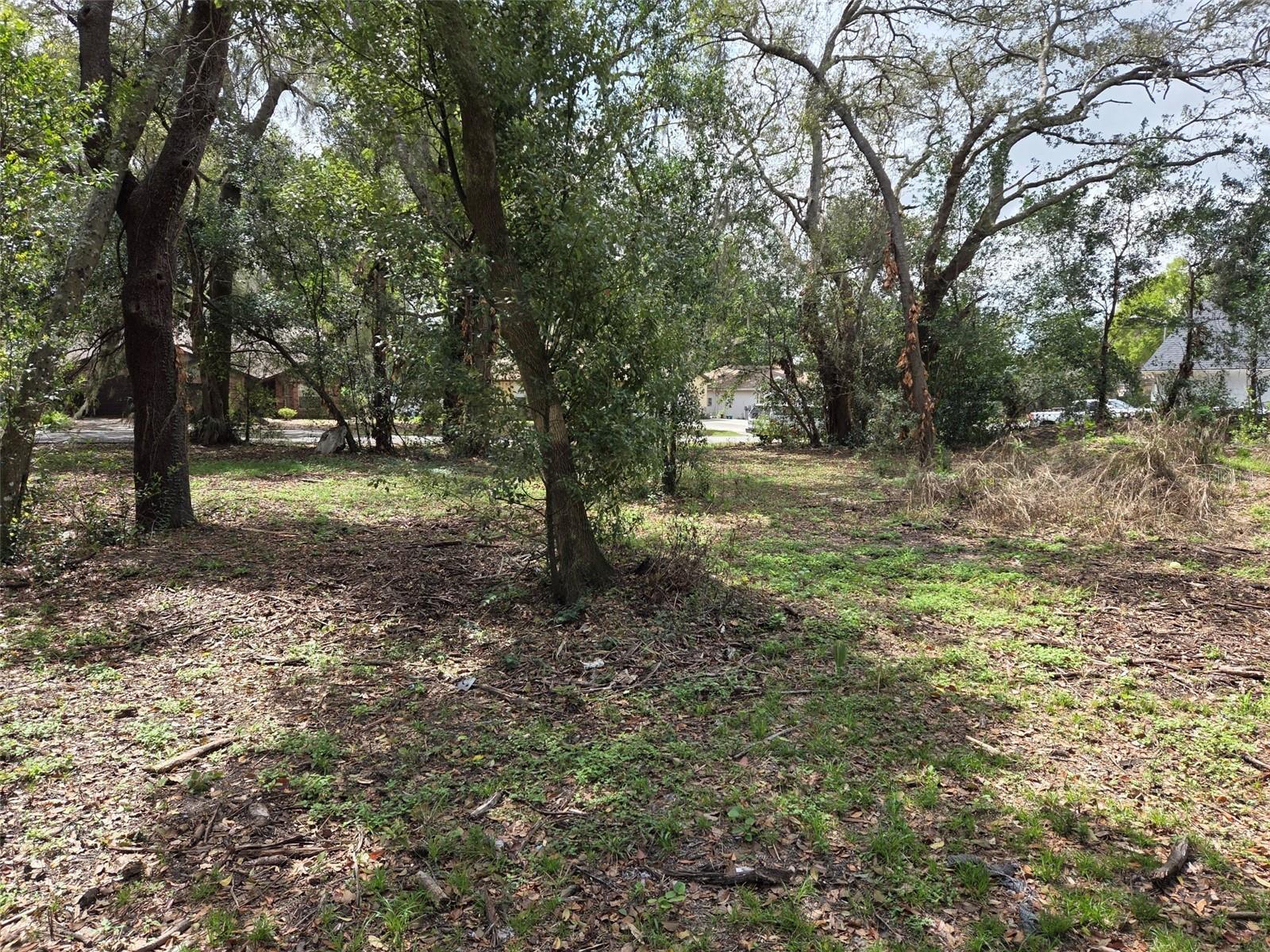 CHARLESTON OAKS - Land