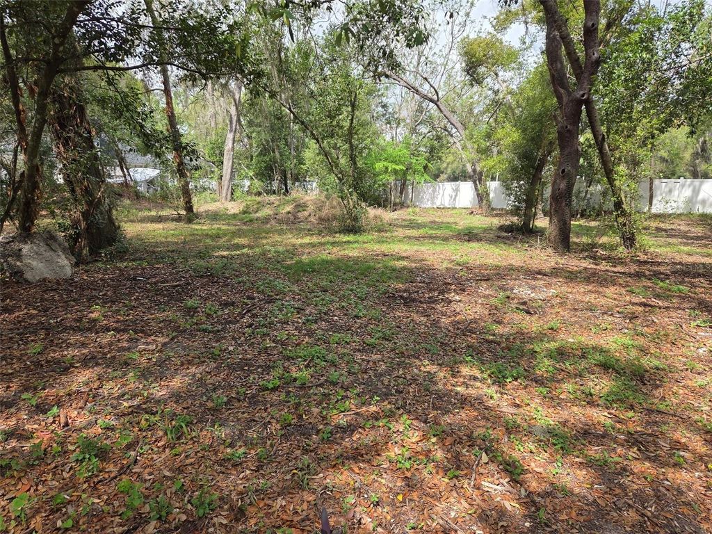 Photo of Kelly Lynn Court, Zephyrhills, FL 33541 (MLS # TB8488339)