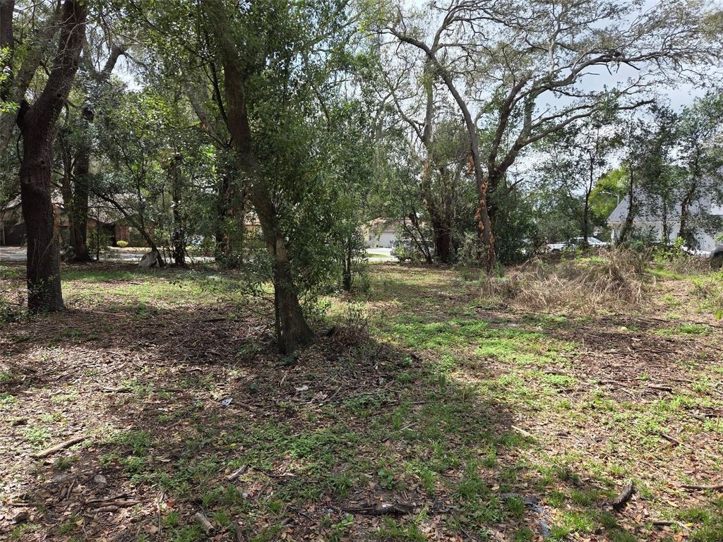 Photo of Kelly Lynn Court, Zephyrhills, FL 33541 (MLS # TB8488339)