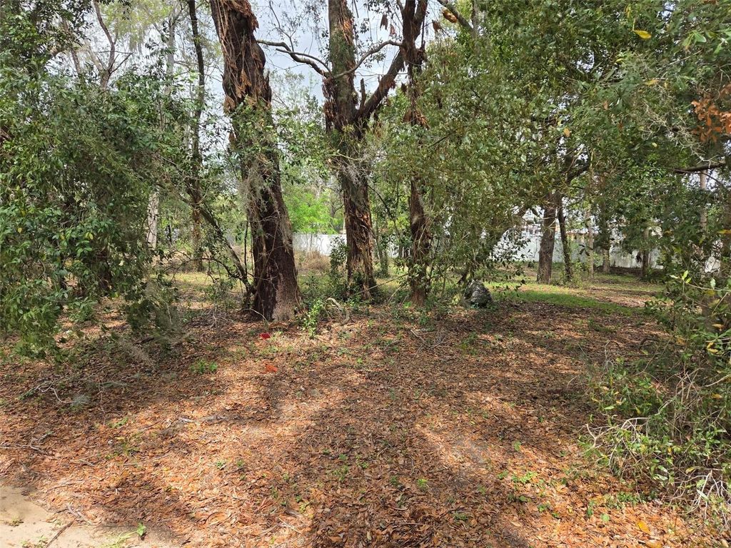 Photo of Kelly Lynn Court, Zephyrhills, FL 33541 (MLS # TB8488339)