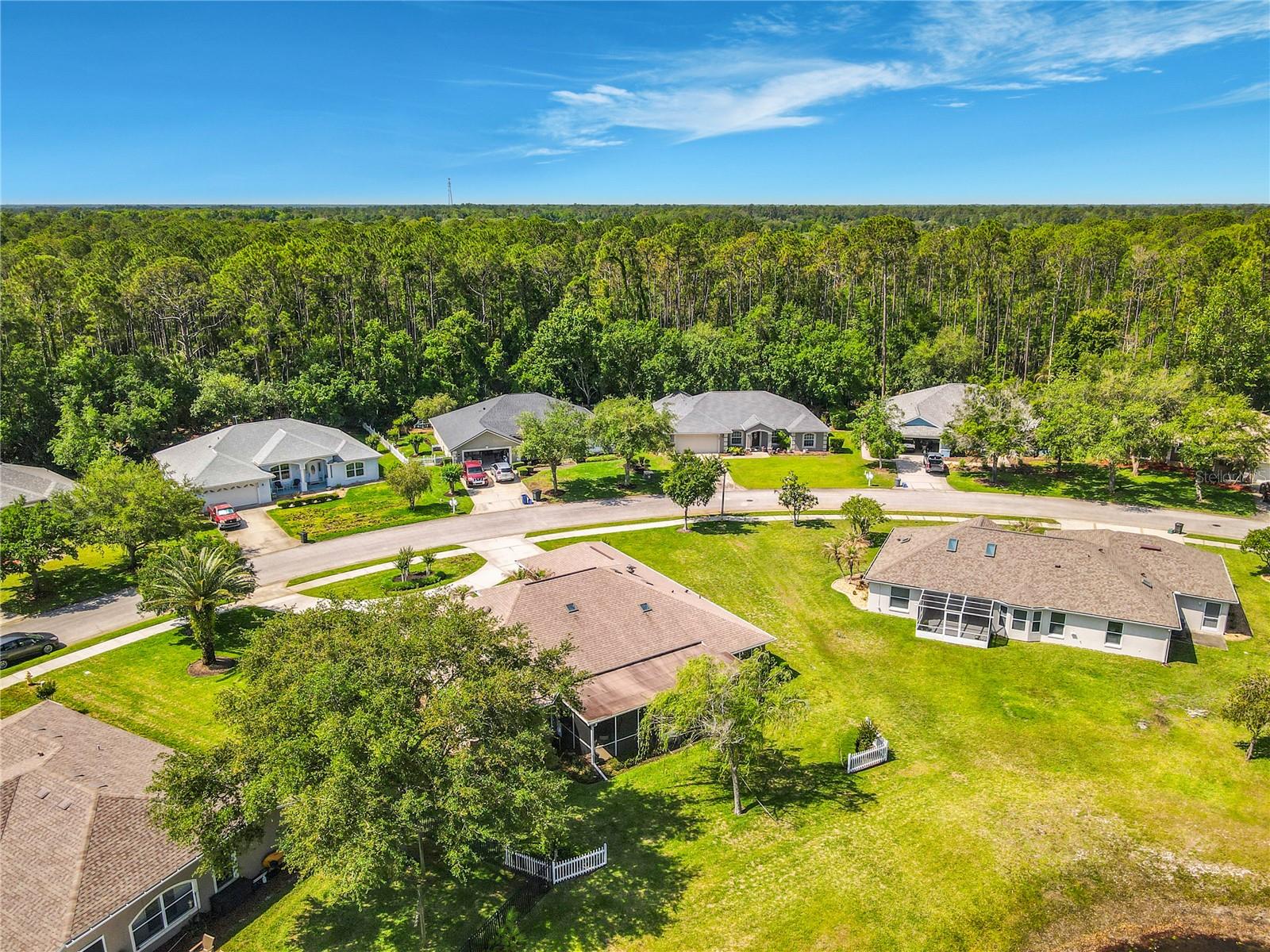 FOREST QUEST - Residential