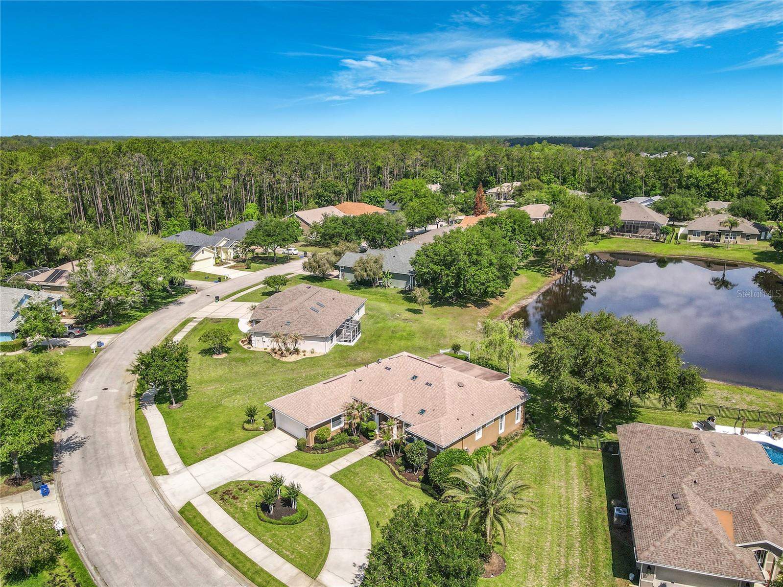 FOREST QUEST - Residential