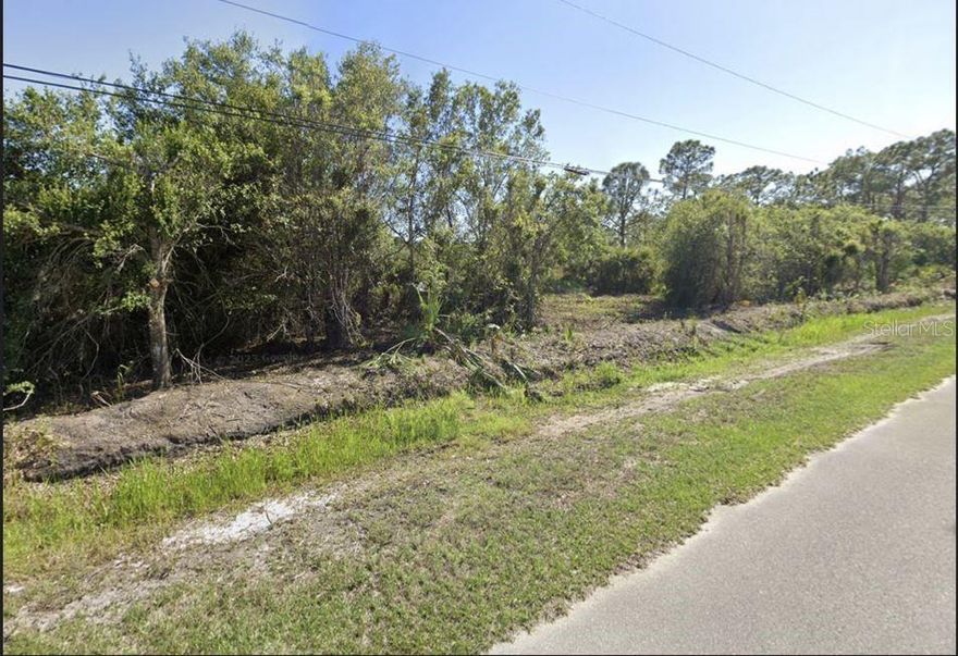 Florida Living at its finest, 1.18 acres property located in a newly developed neighborhood on the outskirts on Naples. Electricity is available with power right next door. Take advantage of this spacious land for your custom home build. Your backyard oasis has a nice pond attached at the rear.