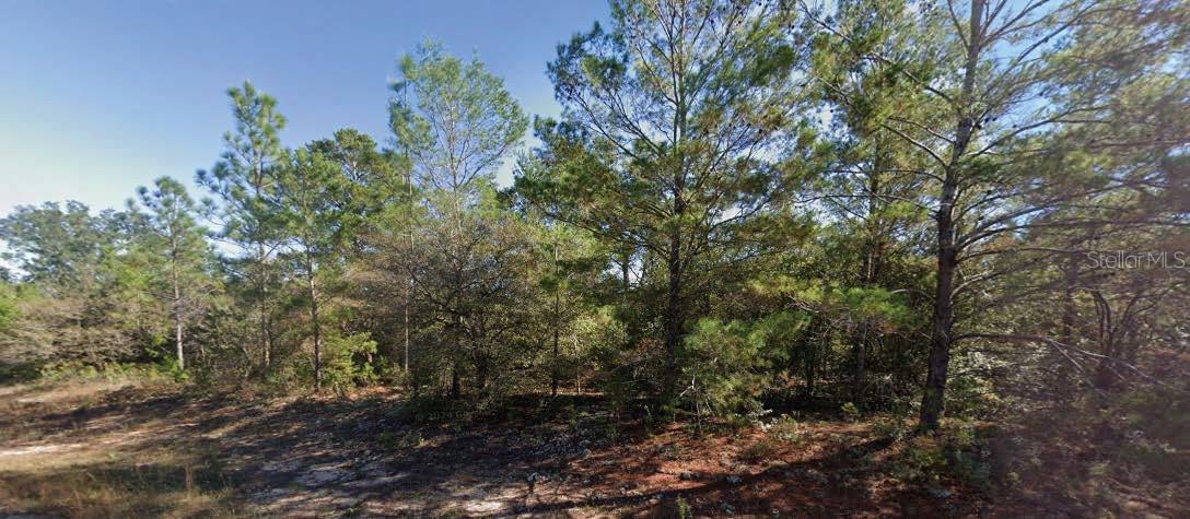 SUNNY HILLS UN 19 - Land