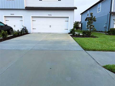 Photo of 19646 Shady Oak Drive, Land O Lakes, FL 34638 (MLS # TB8518455)