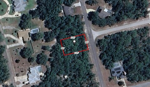 7150 N MALTESE DRIVE CITRUS SPRINGS FL 34433