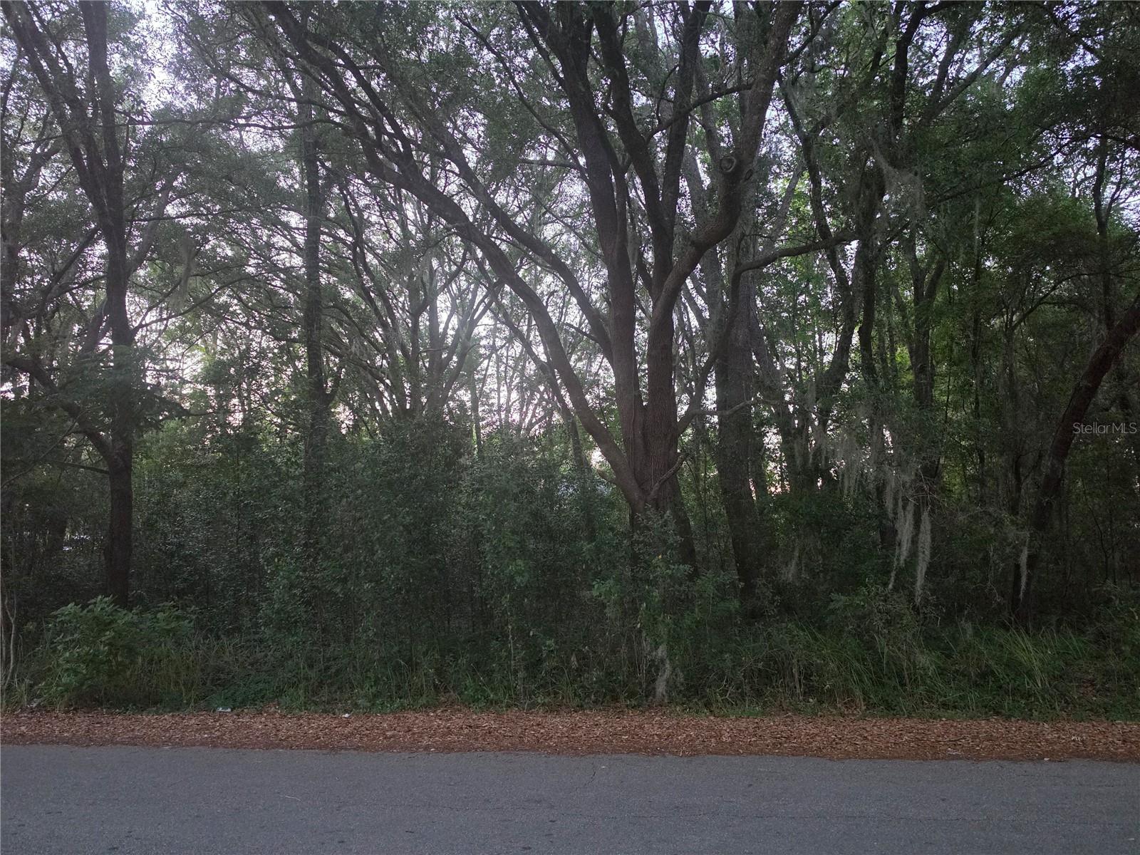PINE CIRCLE