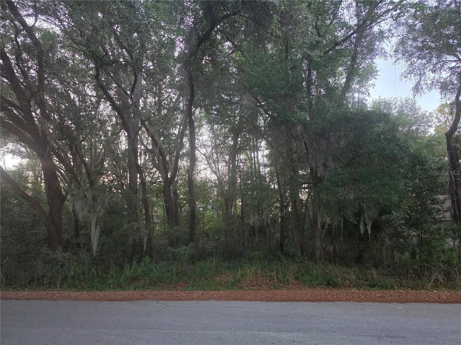 PINE CIRCLE