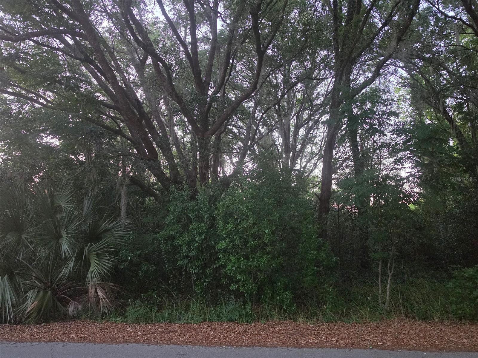 PINE CIRCLE
