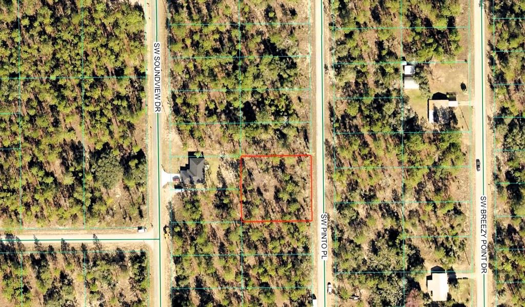 Photo of SW Pinto Pl, Dunnellon, FL 34431 (MLS # OM723700)