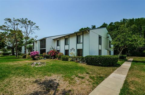 Photo of 1290 Pine Ridge Circle E #G1, Tarpon Springs, FL 34688 (MLS # TB8382447) Photo of 1290 Pine Ridge Circle E #G1, Tarpon Springs, FL 34688 (MLS # TB8382447)