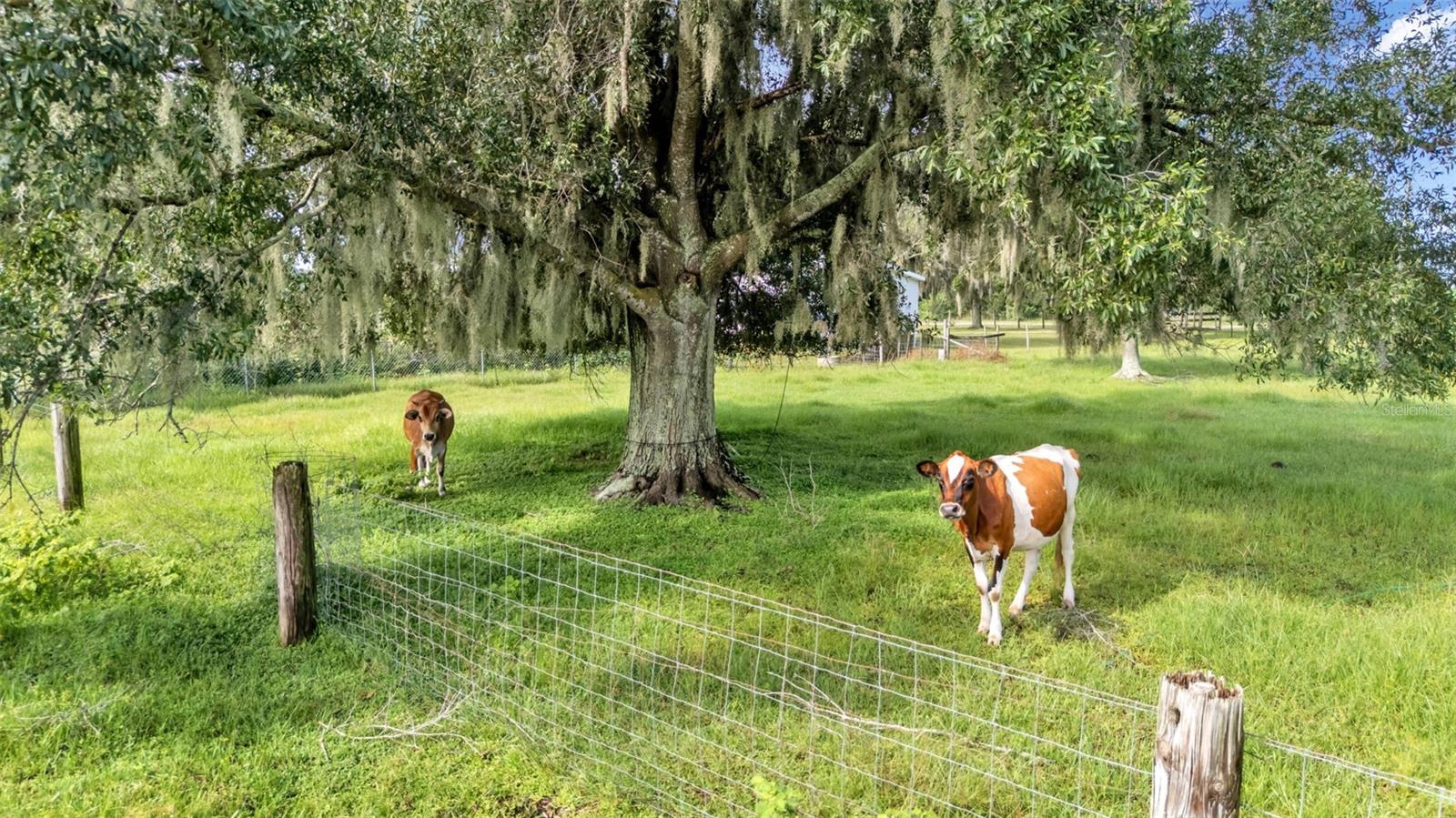 PEACE RIVER DEV - Residential