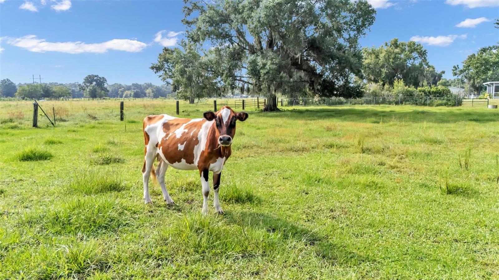 PEACE RIVER DEV - Residential