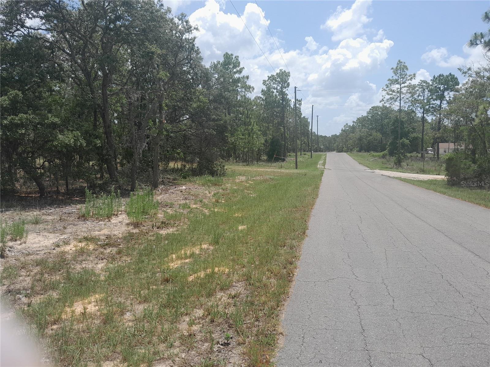 PRICE JUST REDUCED!! BEAUTIFUL CORNER BUILDING LOT ON PAVED ROAD .23 ACRES with pines and oaks, perfect location to build your new home. Front footage on the paved road is 205'. Just 5 minutes to Williston, 30 minutes to Gainesville, Ocala, Bronson and the gulf. Close to Cedar Key for fishing, boating, restaurants etc. Also near the Goethe State Forest for ridding horses, hiking trails, picnicking, bird watching and seeing the Old Florida.
Lot measures about 125' x 80' on both sides. High and Dry with no HOA fees. Same seller has the adjacent 0.23 acre lot. Buy both and have almost 1/2 acre for your new home.
