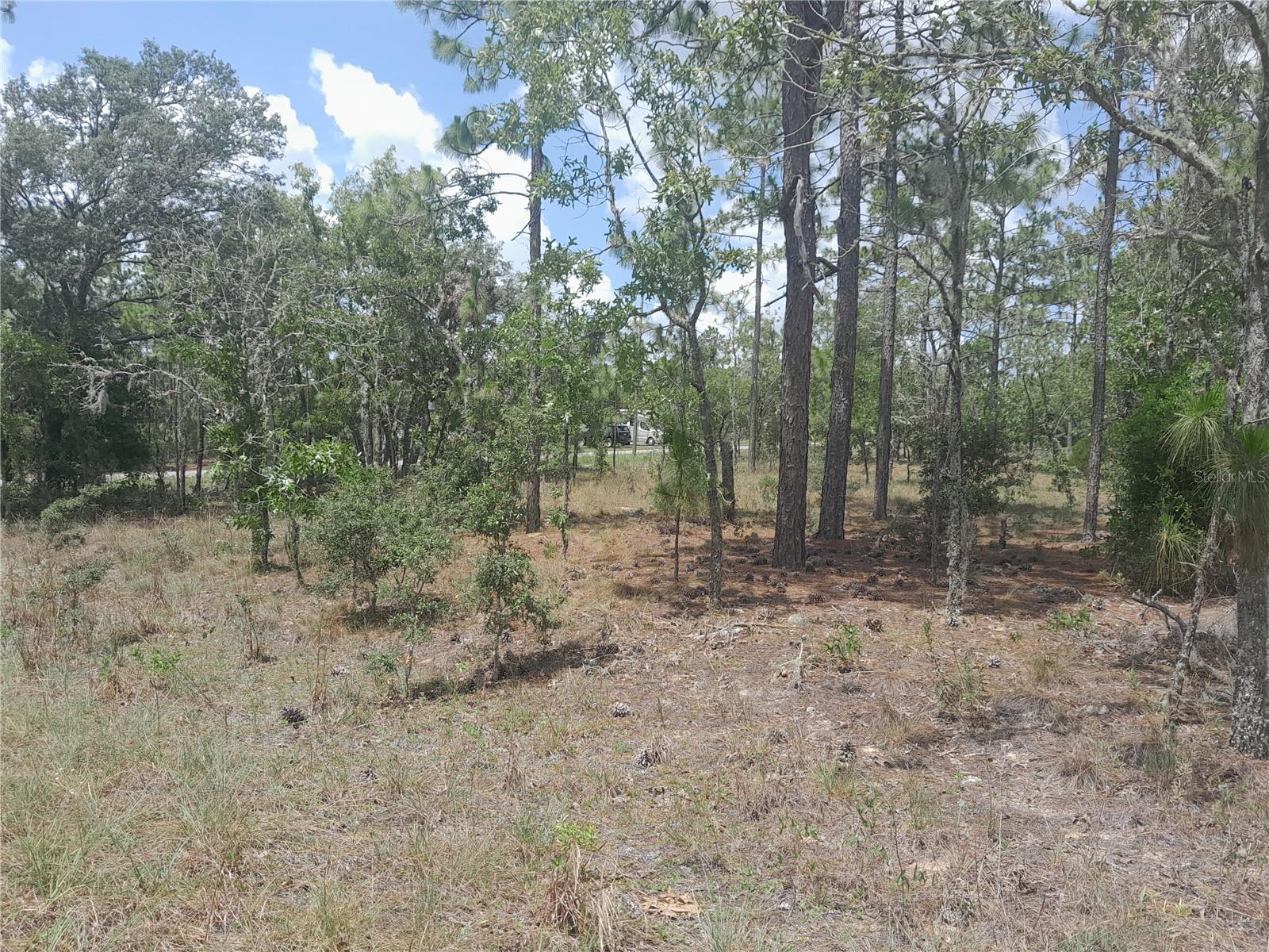 WILLISTON HIGHLANDS GOLF & C CLUB ESTATES - Land