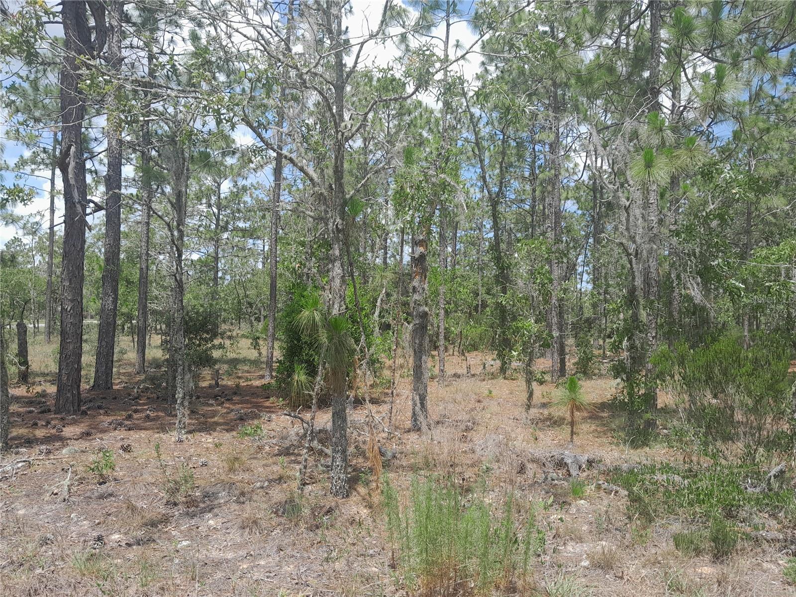 WILLISTON HIGHLANDS GOLF & C CLUB ESTATES - Land