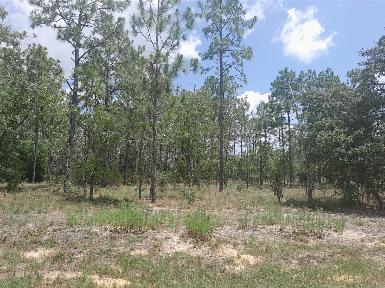 WILLISTON HIGHLANDS GOLF & C CLUB ESTATES - Land