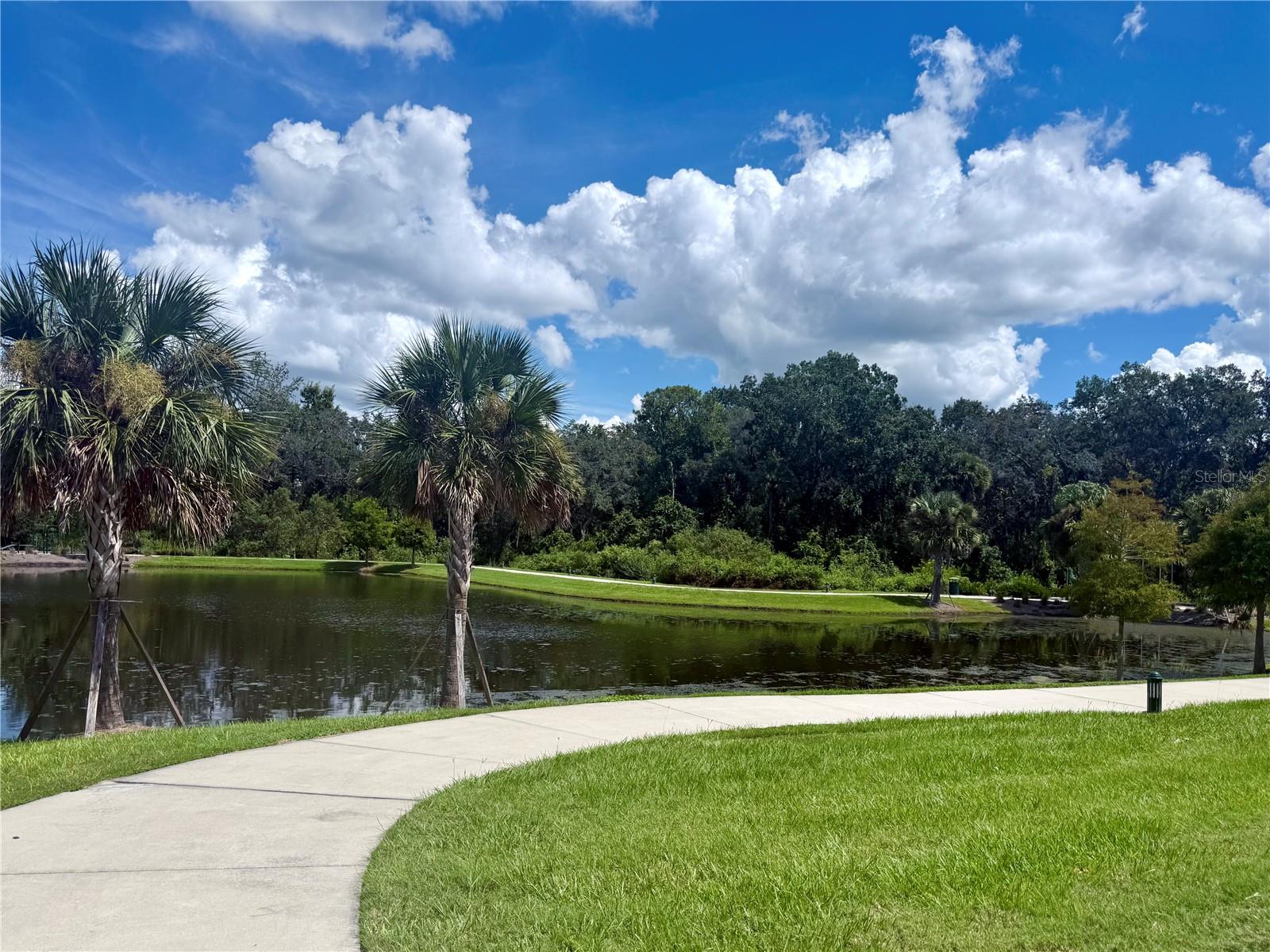 CELEBRATION ISLAND VILLAGE PH 1B - Residential