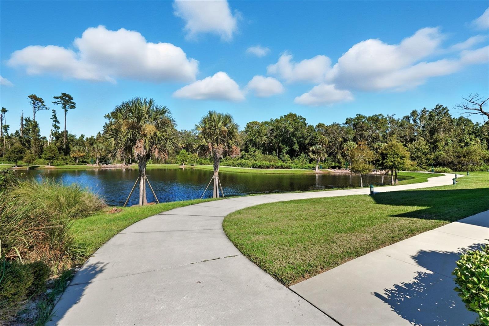 CELEBRATION ISLAND VILLAGE PH 1B - Residential