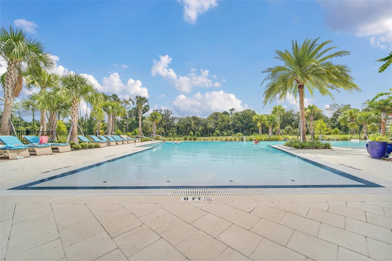CELEBRATION ISLAND VILLAGE PH 1B - Residential