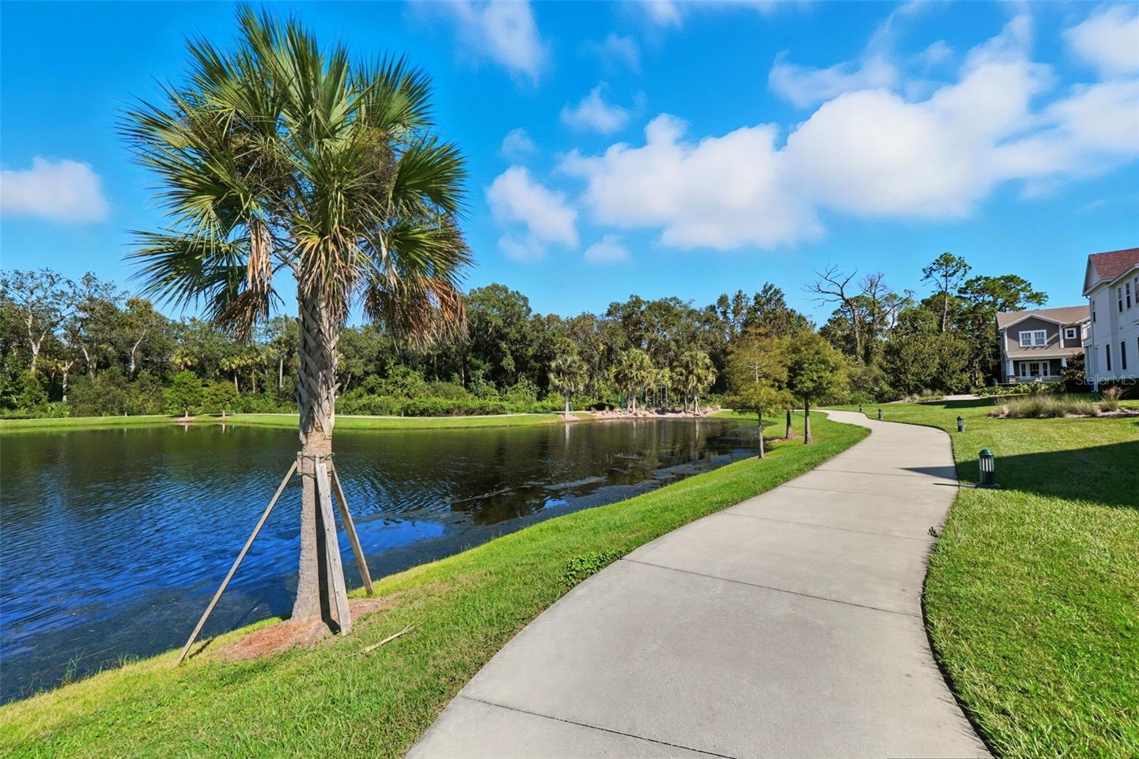 CELEBRATION ISLAND VILLAGE PH 1B - Residential