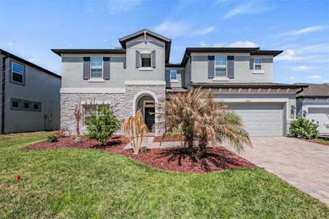 33115 SYCAMORE LEAF DRIVE WESLEY CHAPEL FL 33545