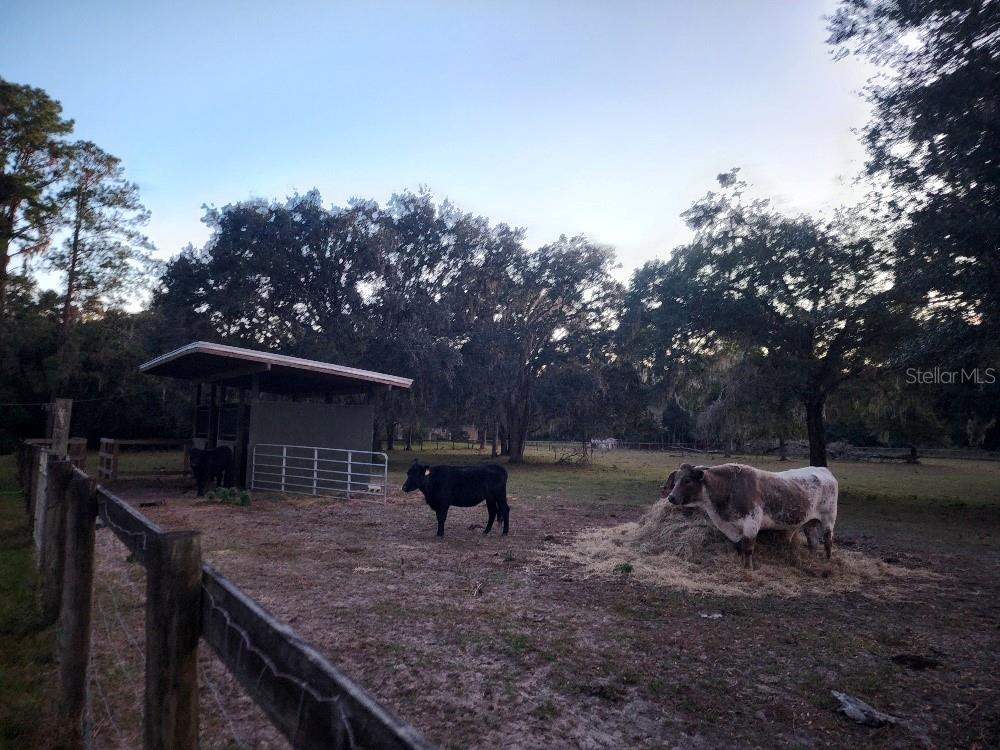 14.6 ACRES MOL IN S1/2 OF SE1/4 OF SW1/4 LYING W O - Residential