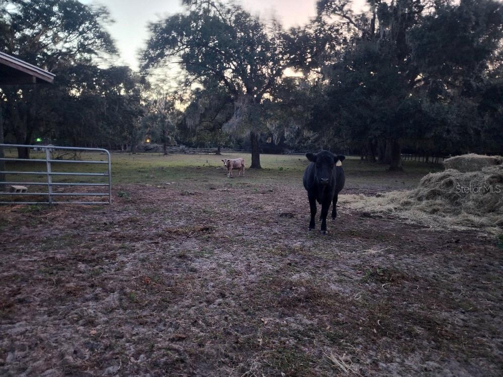 14.6 ACRES MOL IN S1/2 OF SE1/4 OF SW1/4 LYING W O - Residential