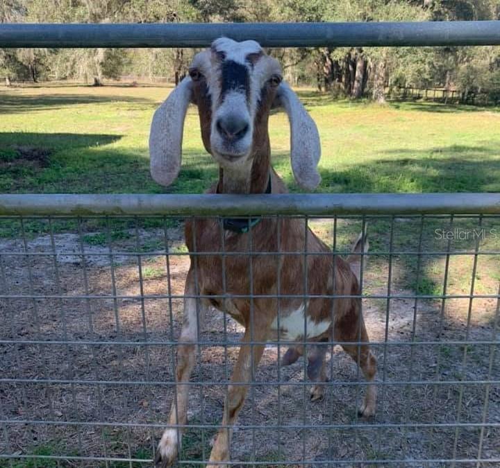 14.6 ACRES MOL IN S1/2 OF SE1/4 OF SW1/4 LYING W O - Residential