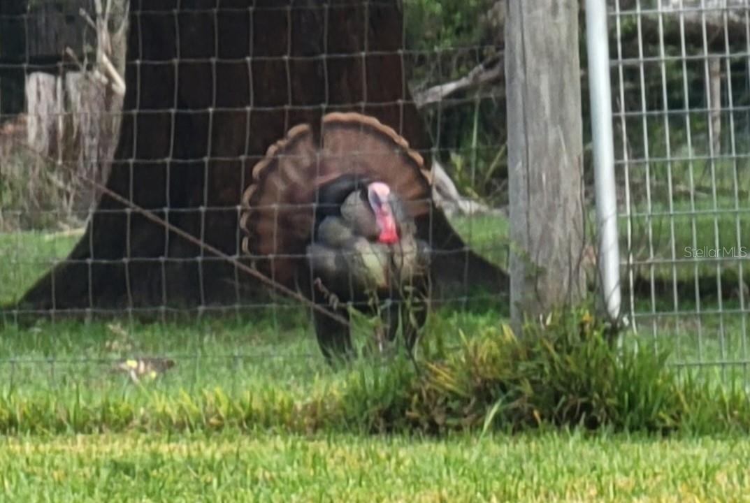 14.6 ACRES MOL IN S1/2 OF SE1/4 OF SW1/4 LYING W O - Residential