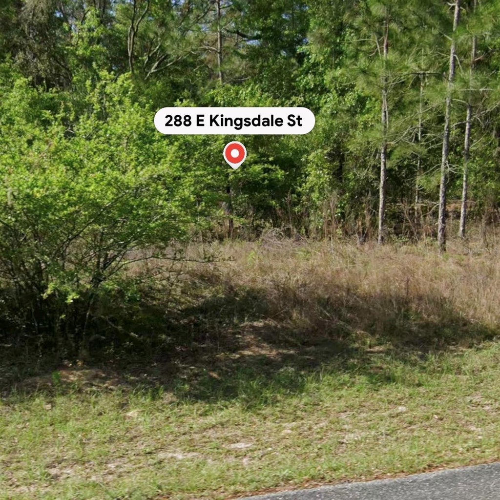 Photo of 288 E Kingsdale Street, Citrus Springs, FL 34434 (MLS # TB8539882)
