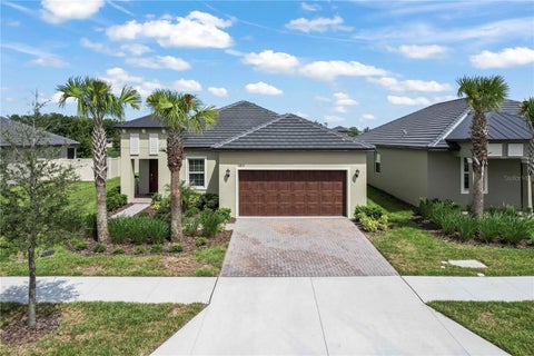 Photo of 10852 Ibis Brook Court, Land O Lakes, FL 34638 (MLS # TB8516318)